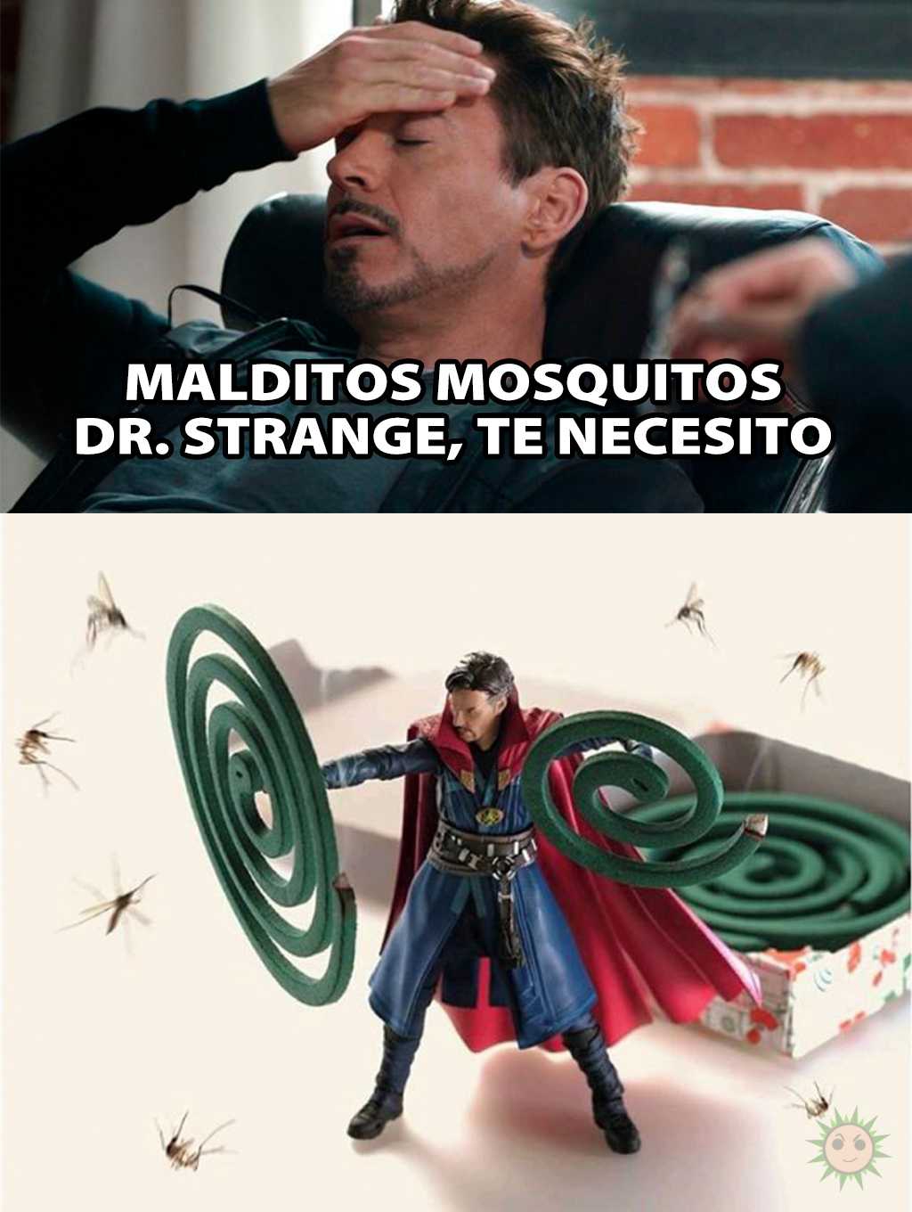 Malditos mosquitos