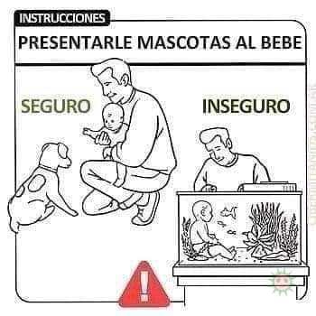 Trucos que no te puedes perder