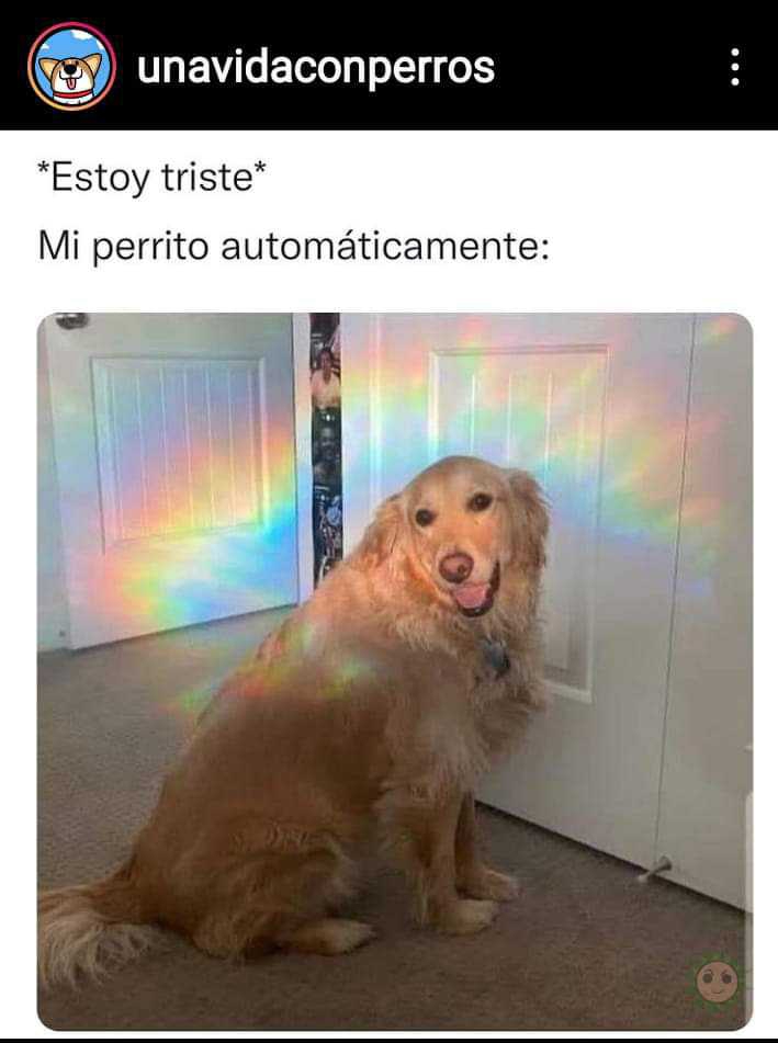 El amor incondicional