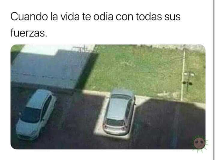 El universo me odia