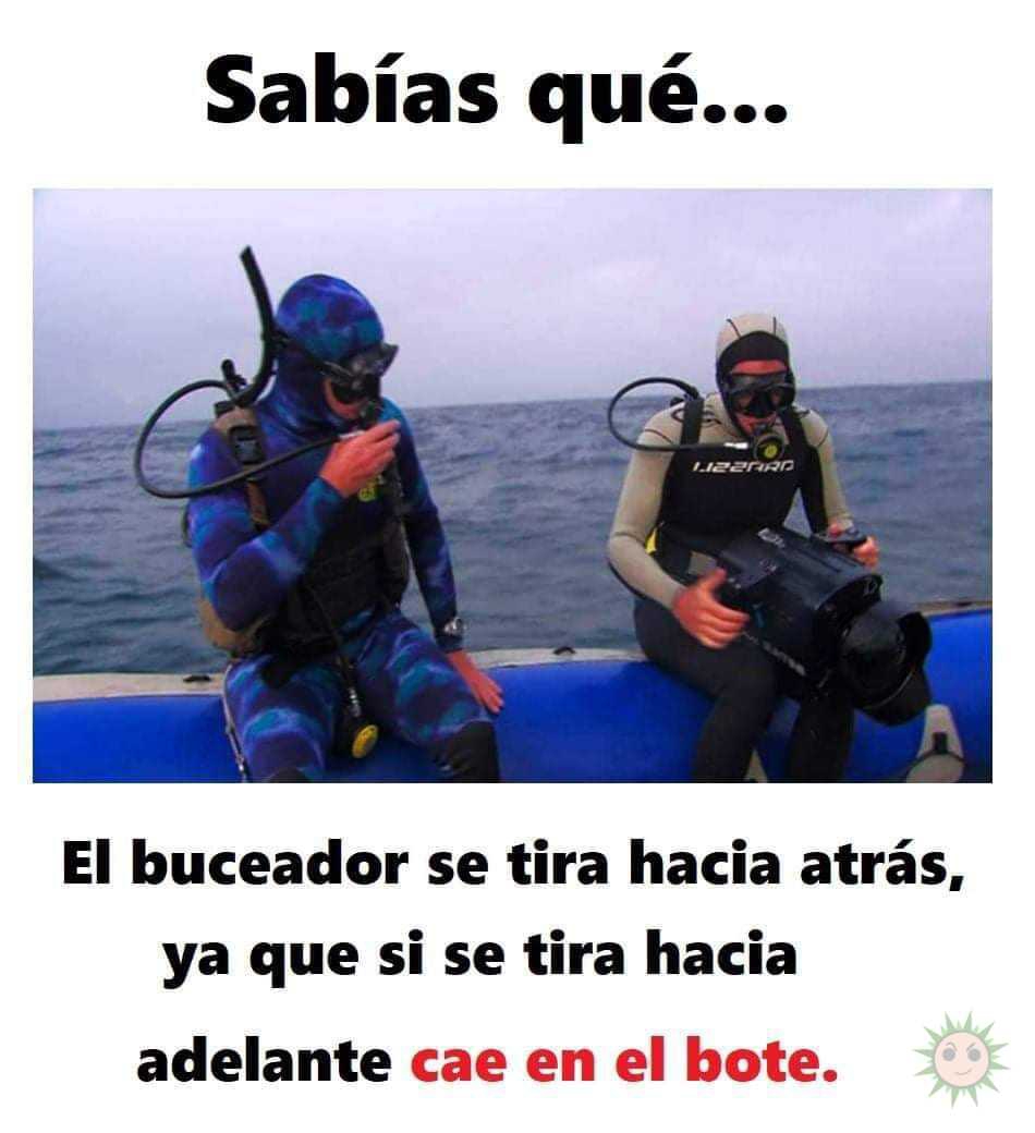 Sabias que...